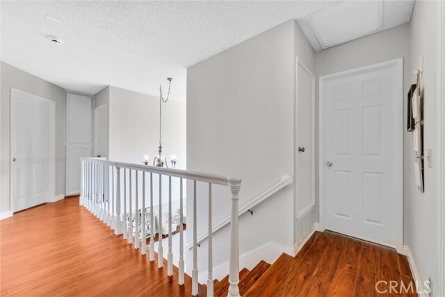 Building Photo - 1522 Sunbluff Dr