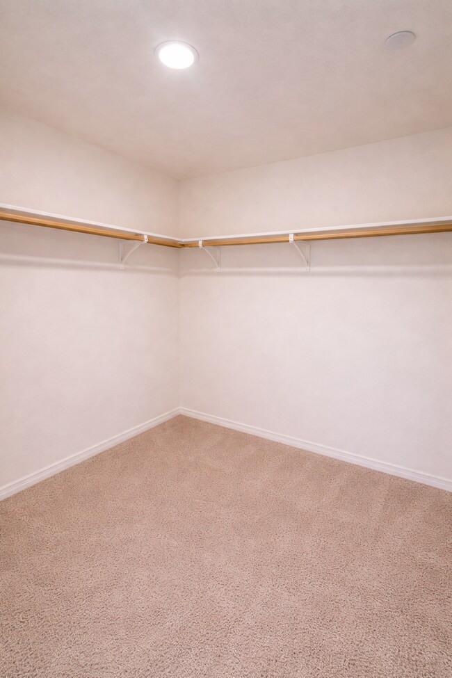 Building Photo - 24610 Comanche Creek Dr