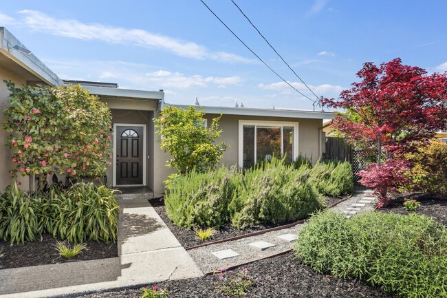 Building Photo - Full Remodeled Single-Level Home in San Rafael