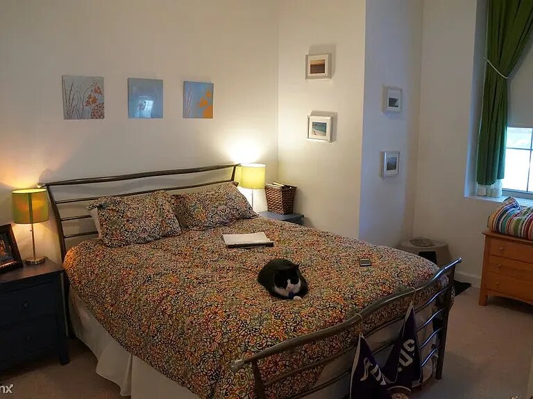 Building Photo - 48 Forest St