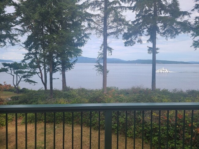 Building Photo - Charming Waterfront Cabin on San Juan Drive 5 month lease through winter.