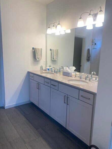 Primary Bath - 168 Mayflower Park Pl
