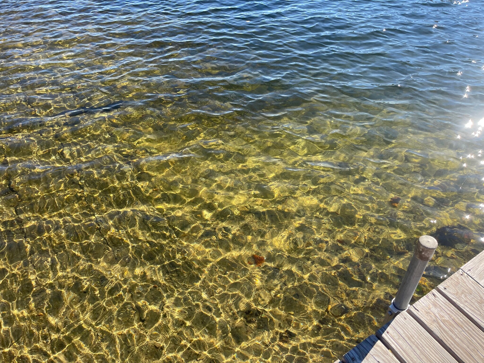 Building Photo - 84 Whitetail Rdg