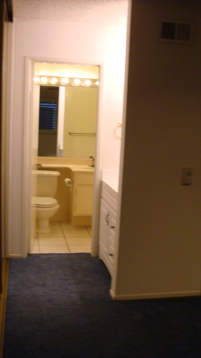 Bathroom (carpet is now hardwood laminate flooring) - 2870 N Cottonwood St