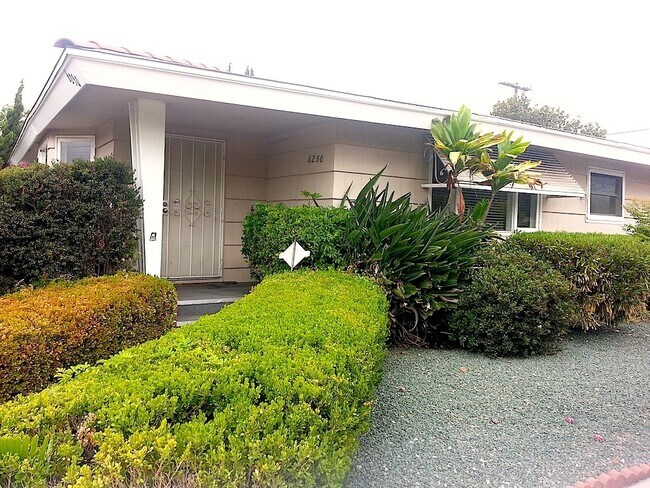 Building Photo - SDSU available AUGUST 2026 - SDSU HOUSING - 4 Bedroom / 2 bath!