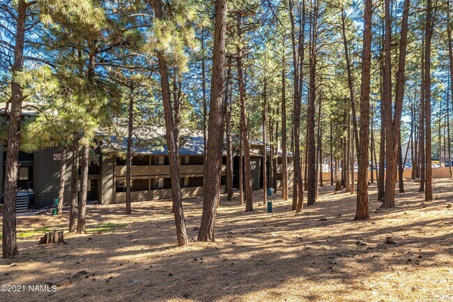Building Photo - West-Flagstaff Condo in the Arbors - 2 Bed, 2 Bath - Students OK! 1 Sm. Pet OK! Avail. July 10th!!