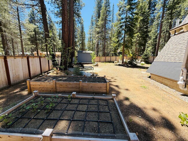 Building Photo - 3 bed 2 bath home for rent in South Lake Tahoe
