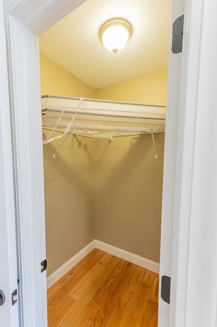 Building Photo - 211 Spicewood Dr