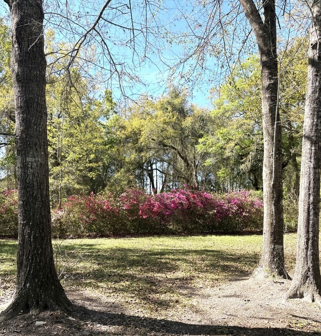 Building Photo - 371 Tom Lodge Rd