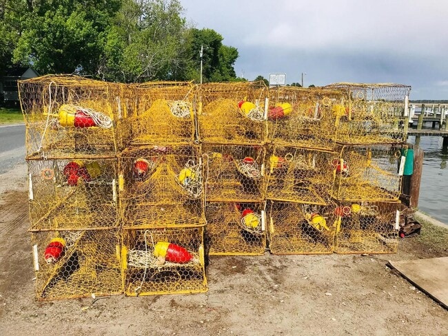 Building Photo - 8034 Riverview Rd