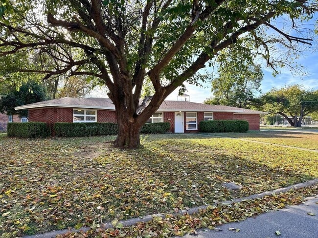 Primary Photo - 703 Pecan St