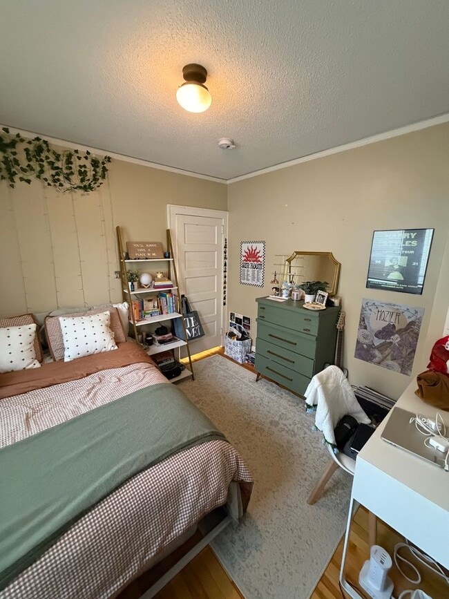 Building Photo - AVAILABLE JUNE - Beautiful 4 Bed 1 Bath Near UMD