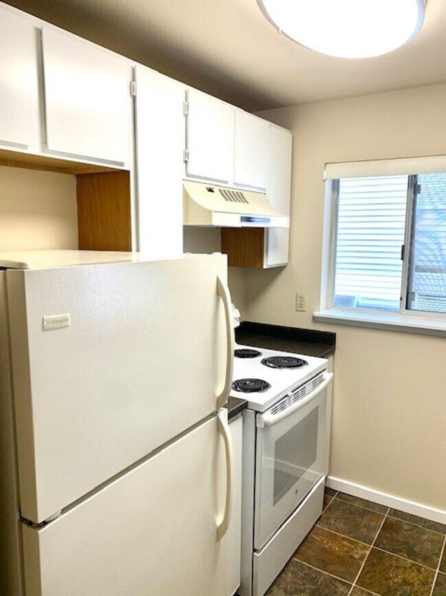 Interior Photo - Bon Micheal Apartments