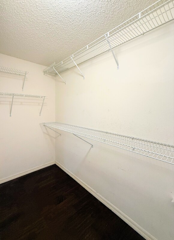 Building Photo - 28927 Stormcloud Pass