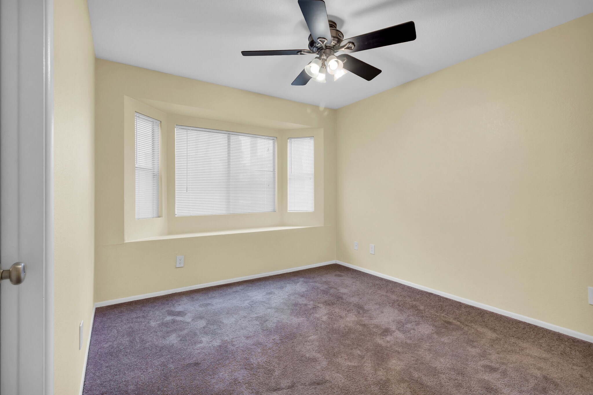 Building Photo - 925 S Longmore