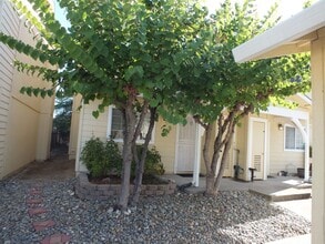 Building Photo - 2/1.5 Diamond Springs condo