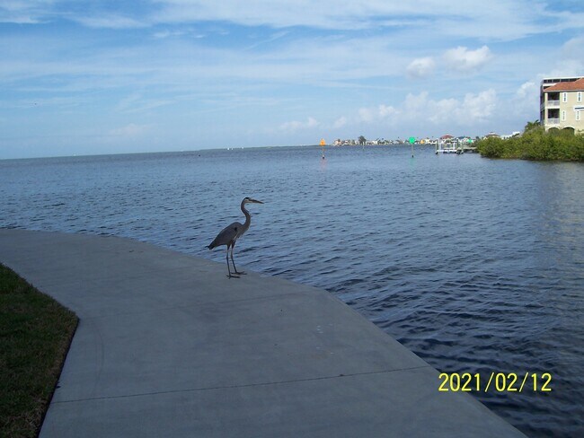 Building Photo - 6035 Sea Ranch Dr