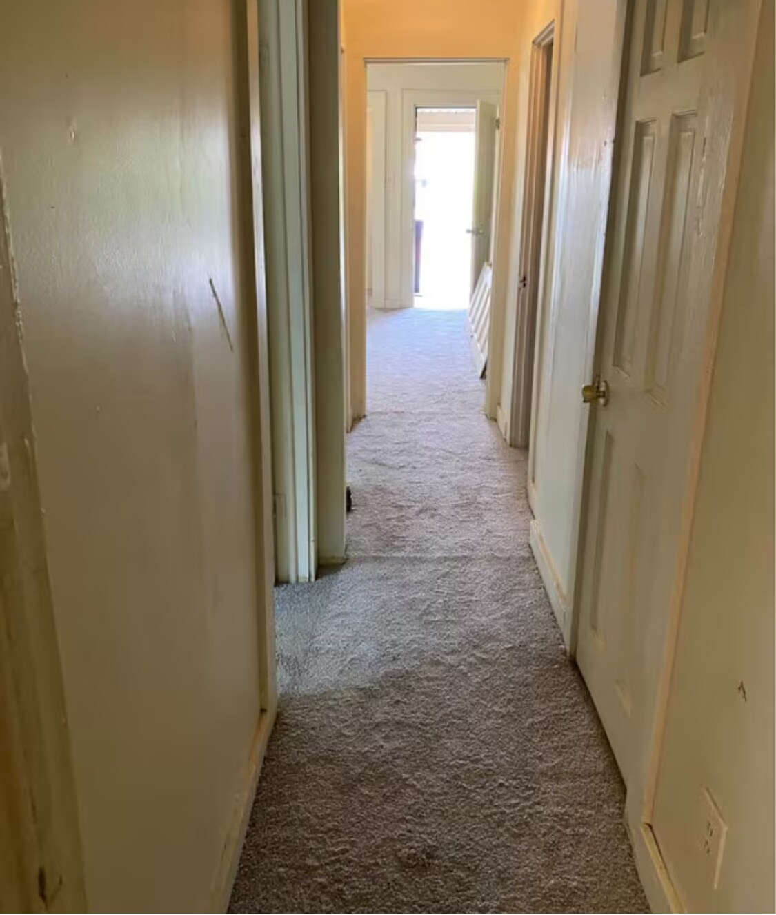 Building Photo - 217 Scott Ave