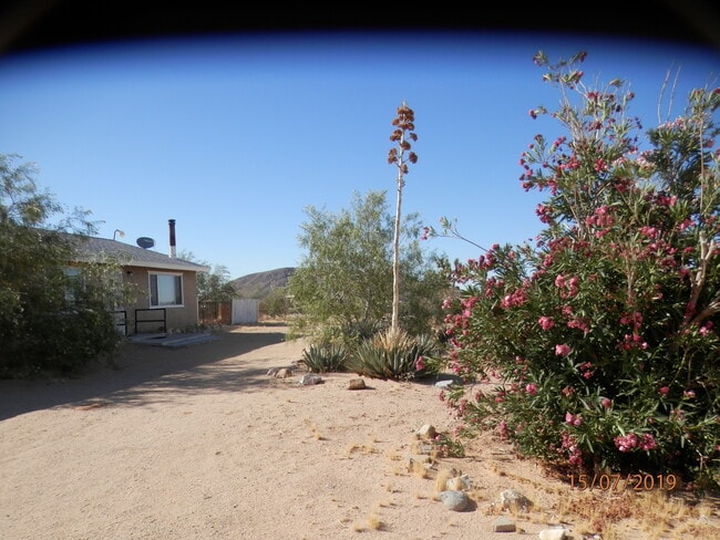 Building Photo - 1038 Alta Ave