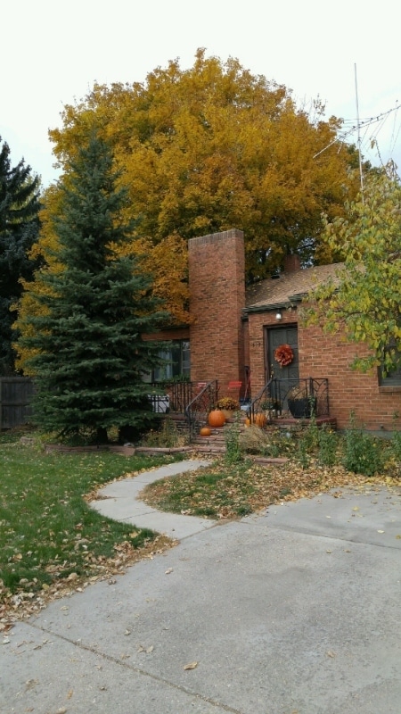 Primary Photo - 317 S Shields St