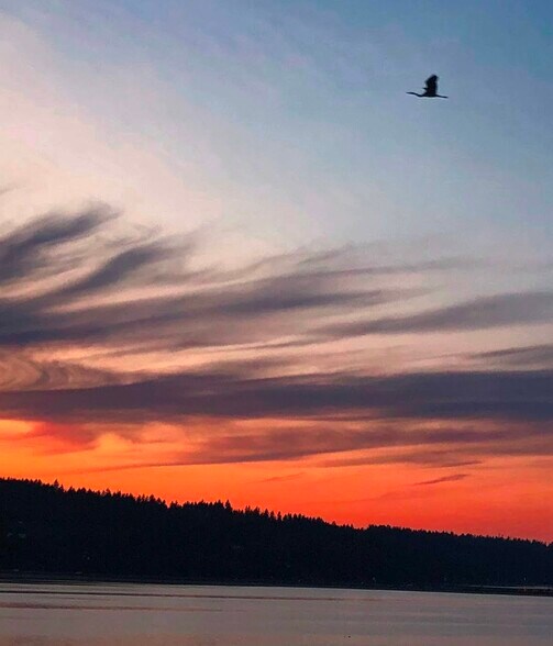 One of the glorious sunsets! - 7107 120th St NW