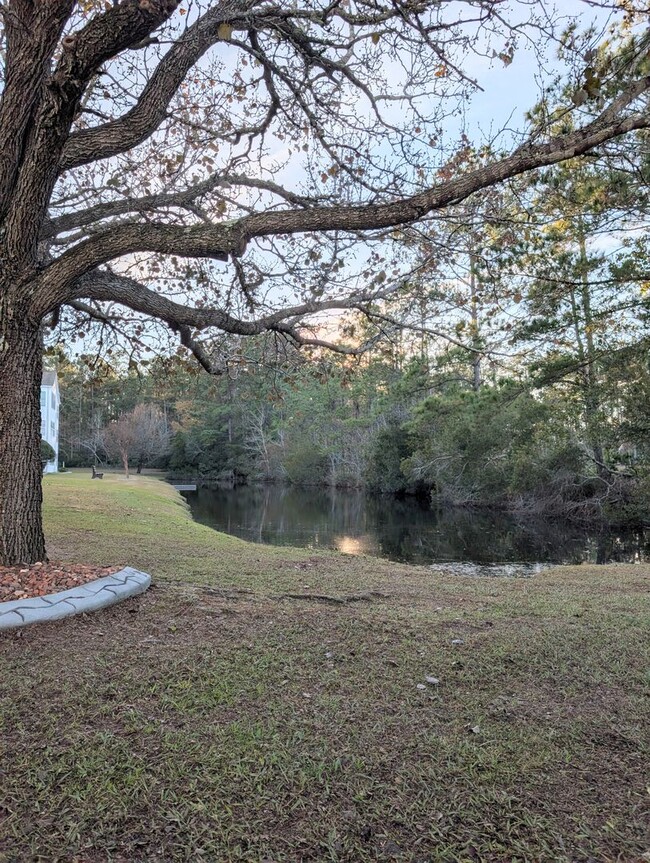 Building Photo - 3BR / 2BA Condo for Rent – Southbridge (Water View)