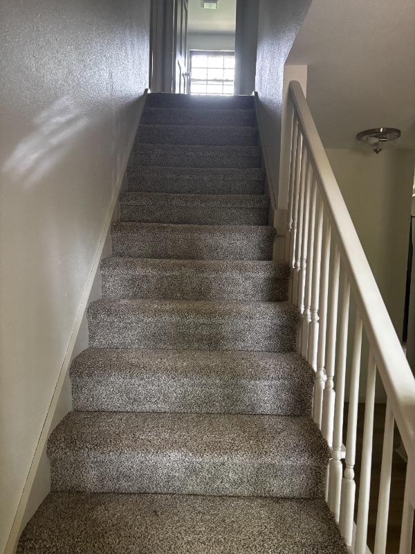 Building Photo - 27831 Homestead Rd