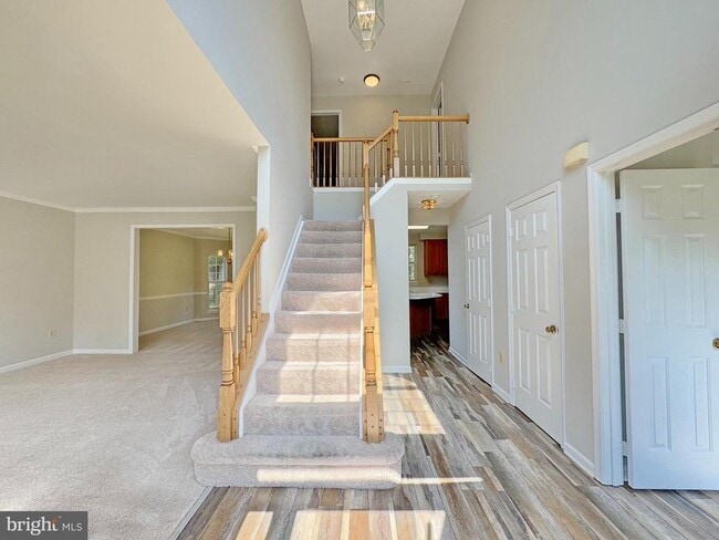Building Photo - 10843 Alyssa Ln