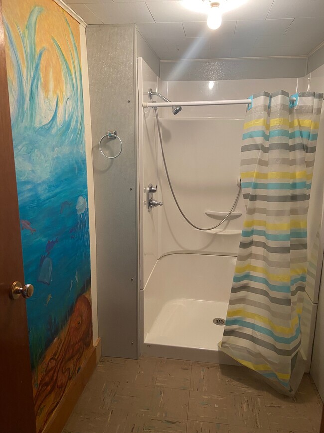 Shower room - 696 S Wardsboro Rd