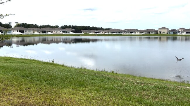 Building Photo - 1785 Southfork Dr