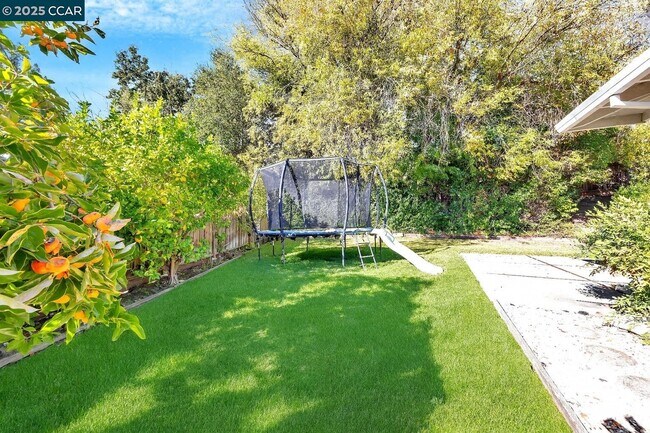 Building Photo - 3142 Windsor Ct