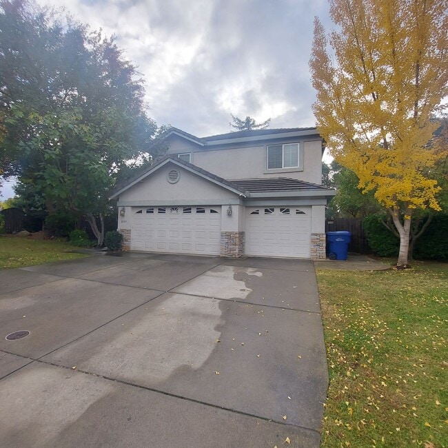 Building Photo - 2604 Javan Ln