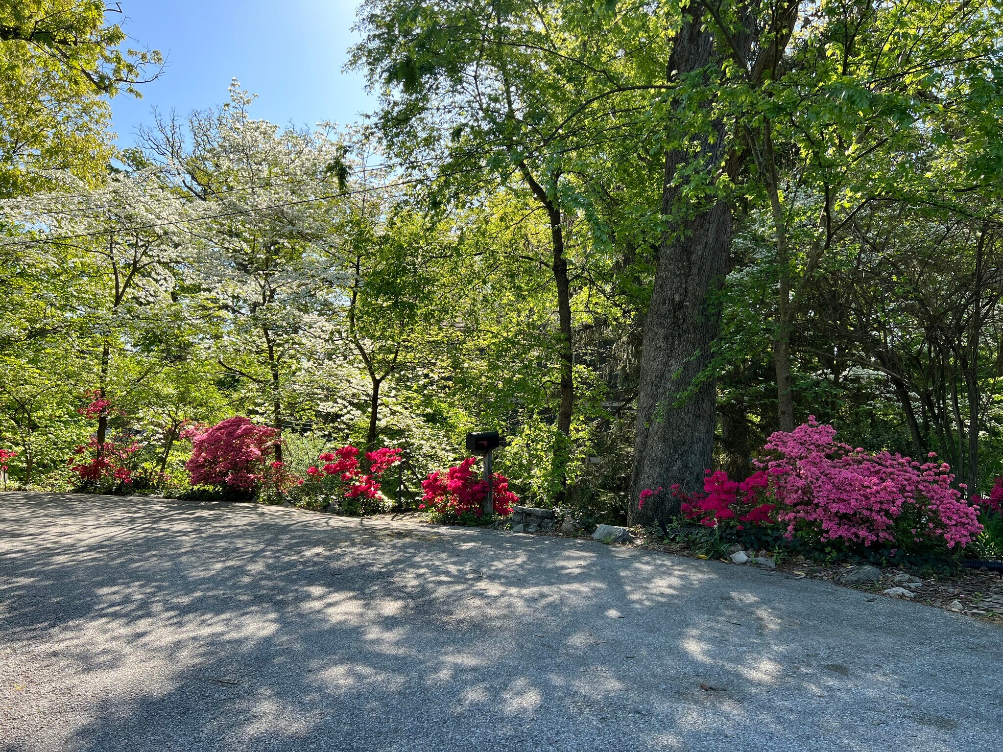 entrance - 2948 Albemarle St NW