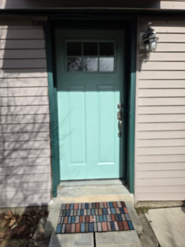 1st floor entrance - 295 Shiloh Rd