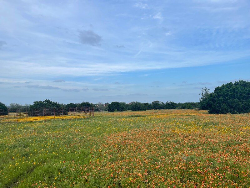 Building Photo - 3656 FM 2657