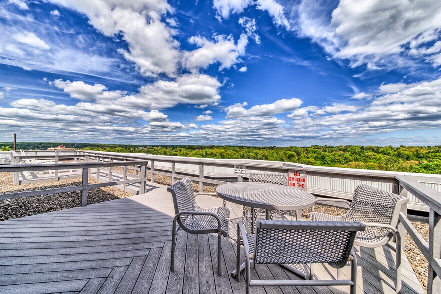 Penthouse Rooftop deck - 14 Nosband Ave
