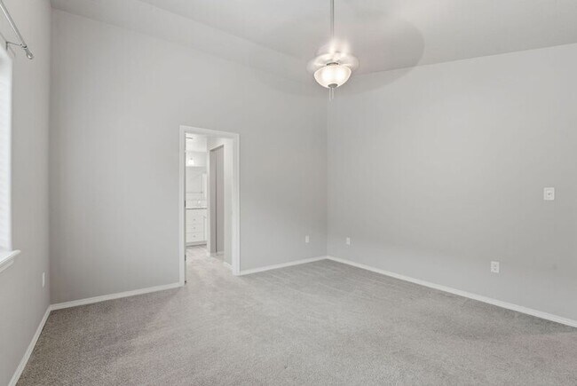 Building Photo - 3613 Ibis Ln