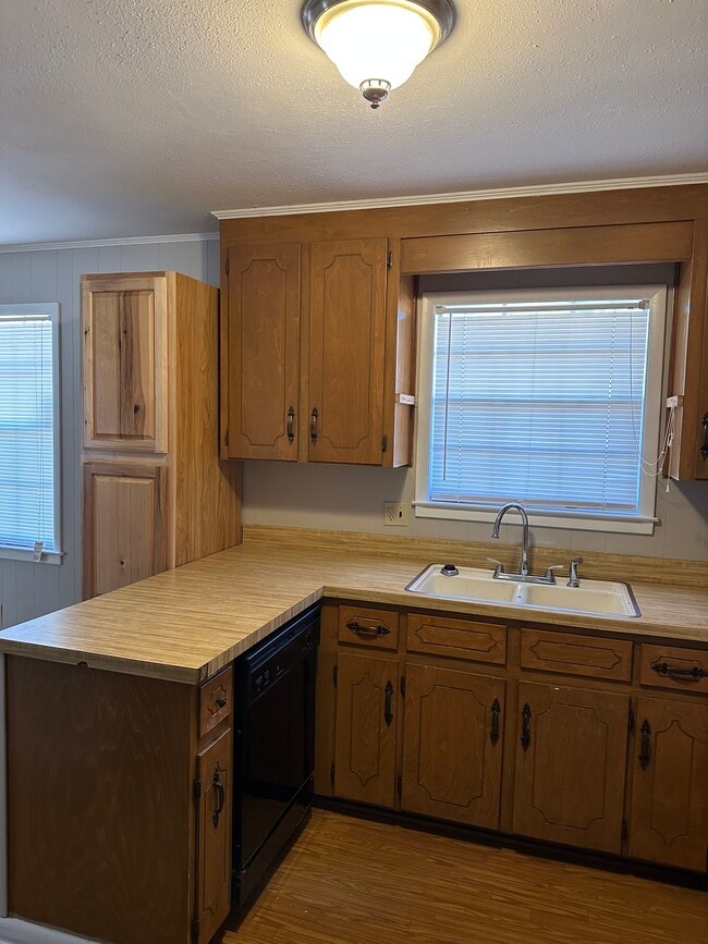 Building Photo - 2211 Shannondoah Dr