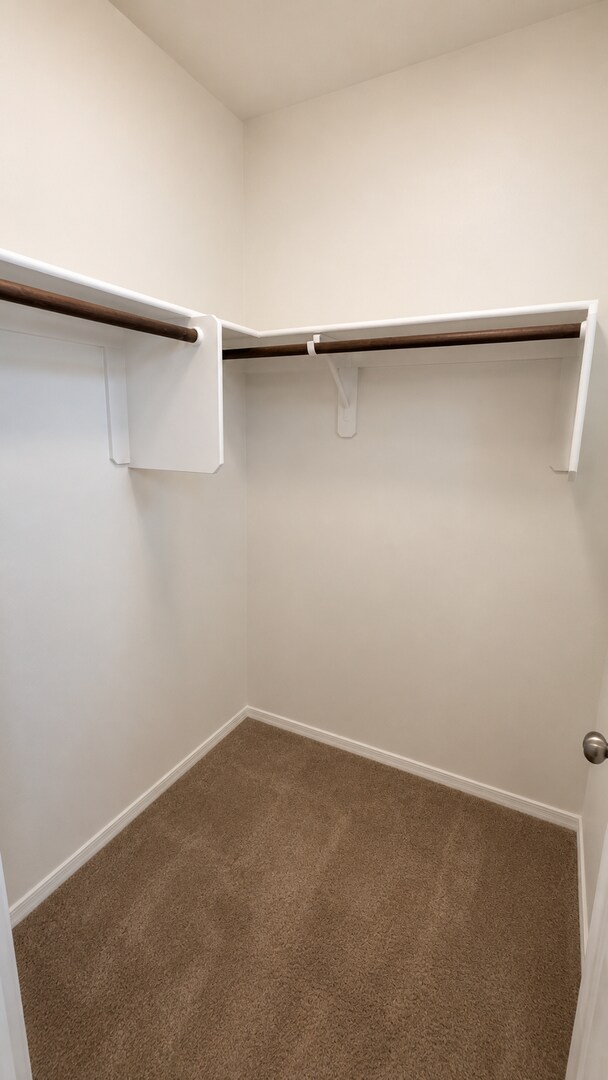 Building Photo - 4763 E American Beauty Dr