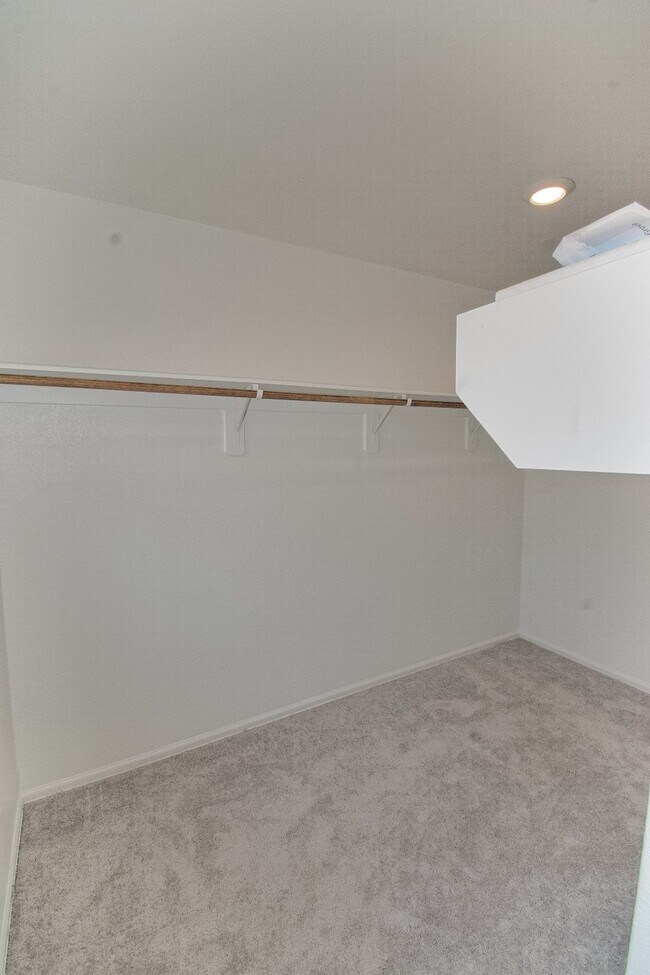 Building Photo - 4207 Palmetto Grv Ln