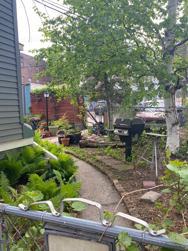 Backyard - 2544 Aldrich Ave S