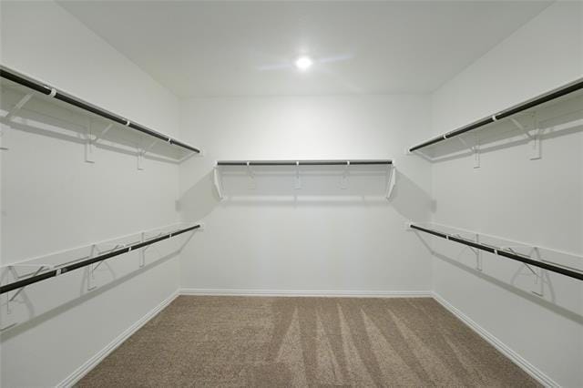 Building Photo - 14625 Pablina Ln