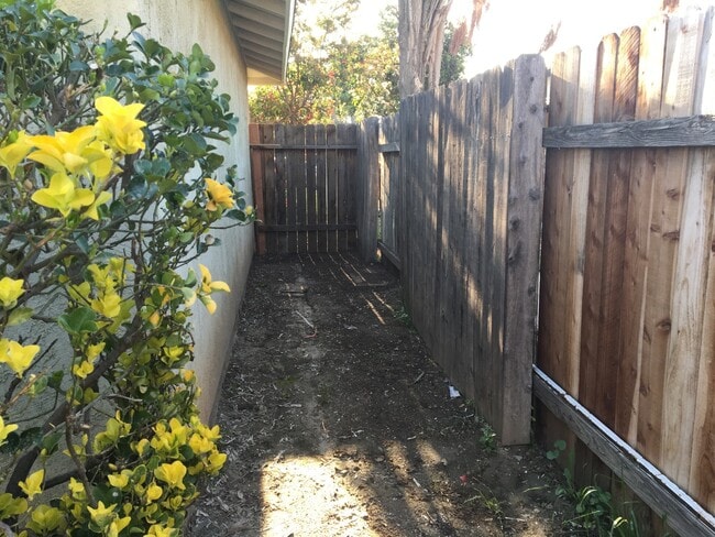 Building Photo - House