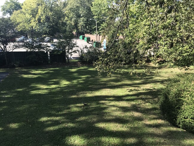 Yard - 1046 Dudley Ave