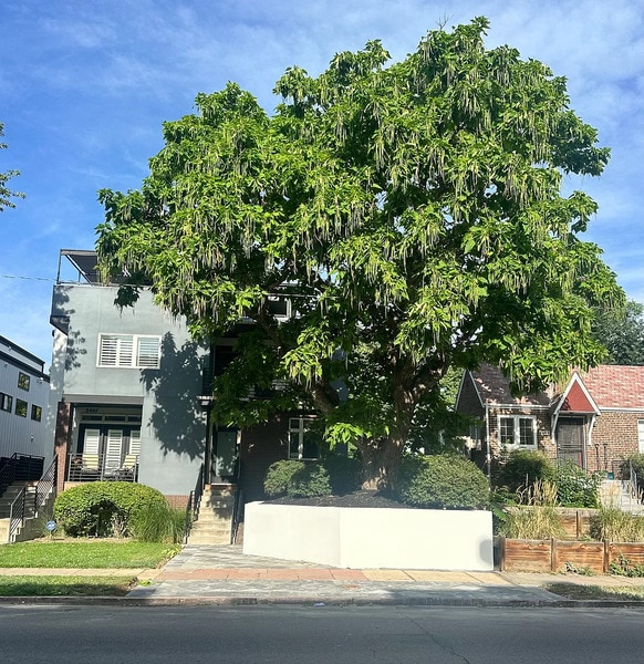 Building Photo - 3409 Tejon St