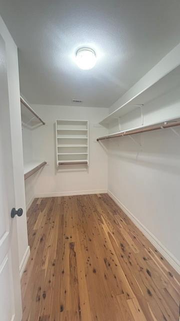 Building Photo - 4605 Ramies Run