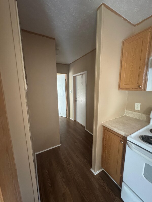 Building Photo - 6901 Mangrove Dr