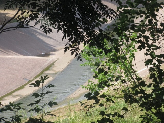 Building Photo - 1441 East St