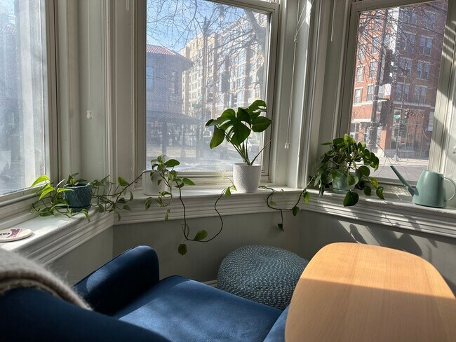 Building Photo - 2 Bedroom 1.5 Bath Condo in Shaw Neighborhood, Backyard, Recently Renovated, Fabulous Modern Feat...