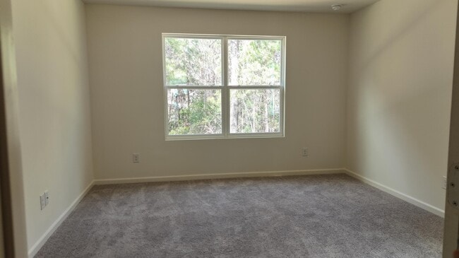 Building Photo - 1501 Scarlett Maple St